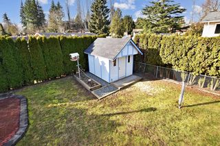 Photo 30: 3595 OLD CLAYBURN Road in Abbotsford: Abbotsford East House for sale : MLS®# R2848516