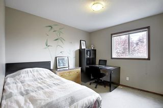 Photo 24:  in Calgary: Cranston Detached for sale : MLS®# A1024102