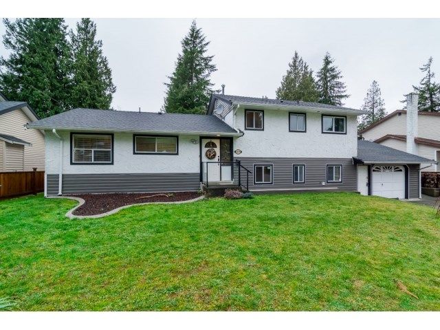 Main Photo: 4179 207A STREET in : Brookswood Langley House for sale : MLS®# R2020272