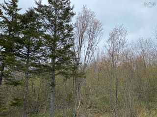 Photo 6: Lot Salter Road in Pleasant Valley: 108-Rural Pictou County Vacant Land for sale (Northern Region)  : MLS®# 202210468