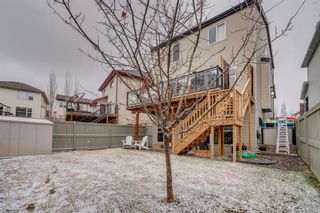 Photo 35: 9 Copperfield Point SE in Calgary: Copperfield Detached for sale : MLS®# A1100718