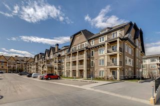 Photo 19: 118 20 Mahogany Mews SE in Calgary: Mahogany Apartment for sale : MLS®# A1212230