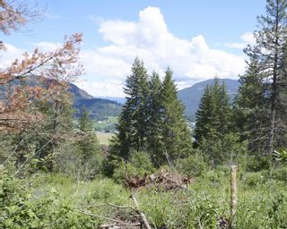 Photo 32: #18 251 Old Salmon Arm Road, in Enderby: Vacant Land for sale : MLS®# 10255801
