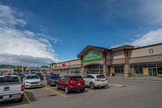 Photo 46: 60 Royal Oak Terrace NW in Calgary: Royal Oak Detached for sale : MLS®# A1232845