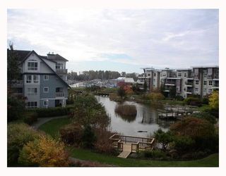 Photo 9: 303 5800 ANDREWS Road in Richmond: Steveston South Condo for sale in "THE VILLAS AT SOUTHCOVE" : MLS®# V737479