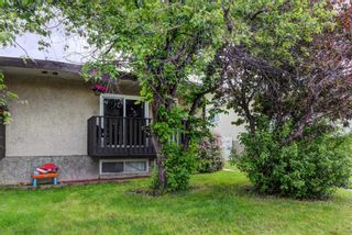 Photo 26: 7810 Hunterquay Road NW in Calgary: Huntington Hills Semi Detached (Half Duplex) for sale : MLS®# A1231657