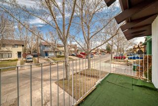 Photo 9: 19 Falchurch Road NE in Calgary: Falconridge Semi Detached (Half Duplex) for sale : MLS®# A2124715