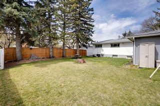 Photo 43: 8040 4A Street SW in Calgary: Kingsland Detached for sale : MLS®# A1220387
