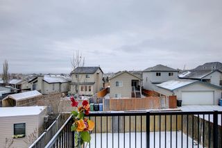 Photo 33: 262 Covemeadow Crescent NE in Calgary: Coventry Hills Detached for sale : MLS®# A1182872