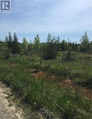 Photo 18: Pt Lt 33 Clover Valley Road E in Manitowaning: Vacant Land for sale : MLS®# 2116051