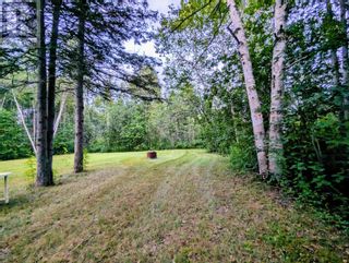 Photo 8: Acreage Conway Road in Conway: Vacant Land for sale : MLS®# 202316886
