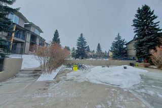 Photo 6: 524 6400 Coach Hill Road SW in Calgary: Coach Hill Apartment for sale : MLS®# A1191968