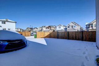 Photo 25: 60 Tarawood Grove NE in Calgary: Taradale Detached for sale : MLS®# A1224455