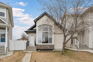 Main Photo: 163 Cranberry Way SE in Calgary: Cranston Detached for sale : MLS®# A2125511