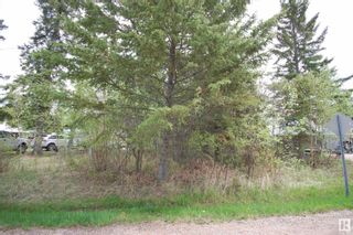 Photo 7: 3 3016 TWP RD 572: Rural Lac Ste. Anne County Vacant Lot/Land for sale : MLS®# E4338430