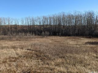Photo 14: Beaver Creek Area Land in Dundurn: Lot/Land for sale (Dundurn Rm No. 314)  : MLS®# SK900848