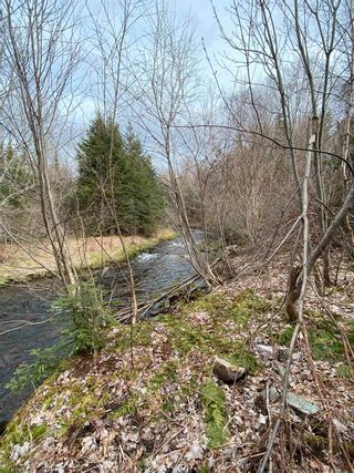 Photo 14: Sherbrooke Road in Greenvale: 108-Rural Pictou County Vacant Land for sale (Northern Region)  : MLS®# 202111683