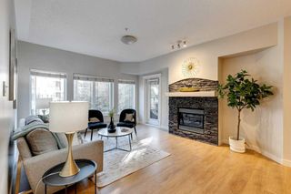 Photo 8: 235 10 Discovery Ridge Close SW in Calgary: Discovery Ridge Apartment for sale : MLS®# A2092261