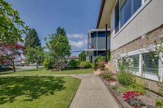 Photo 35: 3113 E 51ST Avenue in Vancouver: Killarney VE House for sale (Vancouver East)  : MLS®# V1067841