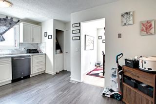 Photo 13: 20 Templemont Drive in Calgary: Temple Detached for sale : MLS®# A1211480