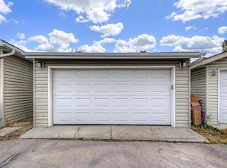 Photo 24: 272 Copperfield Heights SE in Calgary: Copperfield Detached for sale : MLS®# A1042063