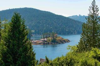 Photo 1: 4765 COVE CLIFF Road in North Vancouver: Deep Cove House for sale : MLS®# R2532923