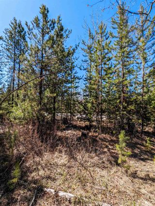Photo 5: Lot C INMAN Road: Lone Butte Land for sale (100 Mile House)  : MLS®# R2881679