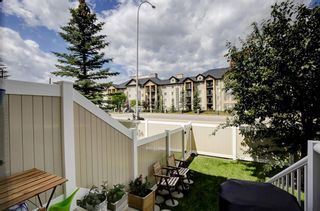 Photo 36: 162 Royal Birch Mount NW in Calgary: Royal Oak Row/Townhouse for sale : MLS®# A1245232