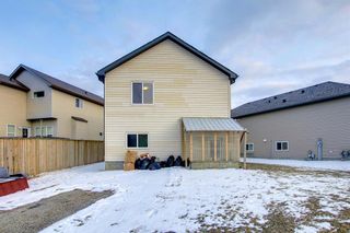 Photo 48: 155 Martinwood Place NE in Calgary: Martindale Detached for sale : MLS®# A1205507