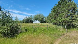 Photo 37: Milne Acreage in Cut Knife: Residential for sale (Cut Knife Rm No. 439)  : MLS®# SK902747