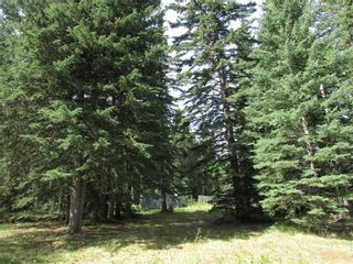 Photo 9: 127, 5241 TWP Rd 325A: Rural Mountain View County Land for sale : MLS®# C4299936