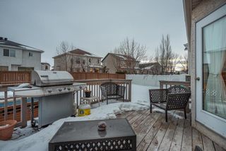Photo 24: 54 Caldwell Crescent in Winnipeg: Whyte Ridge Residential for sale (1P)  : MLS®# 202004817