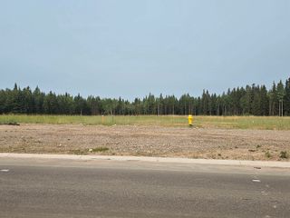 Photo 3: 6697 BOUNDARY Road in Prince George: Airport Industrial for sale (PG City South East)  : MLS®# C8056301