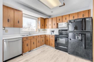 Photo 15: 294 Murray Avenue in Winnipeg: Riverbend Residential for sale (4E)  : MLS®# 202304070