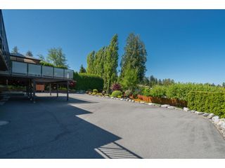 Photo 28: 4629 216 Street in Langley: Murrayville House for sale in "Upper Murrayville" : MLS®# R2433818