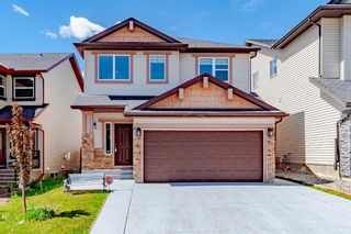 Main Photo: 257 Pantego Close NW in Calgary: Panorama Hills Detached for sale : MLS®# A2139420