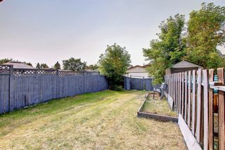Photo 38: 563 Abinger Road NE in Calgary: Abbeydale Row/Townhouse for sale : MLS®# A1257421