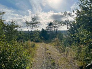 Photo 6: Highway 316 in Isaacs Harbour North: 303-Guysborough County Vacant Land for sale (Highland Region)  : MLS®# 202220810