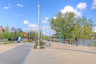 Photo 39: 506 550 Riverfront Avenue SE in Calgary: Downtown East Village Apartment for sale : MLS®# A2095083