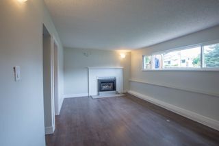 Photo 13: 22939 CLIFF Avenue in Maple Ridge: East Central House for sale : MLS®# R2112470