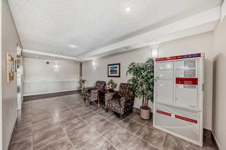 Photo 35: 310 270 Shawville Way SE in Calgary: Shawnessy Apartment for sale : MLS®# A2130341