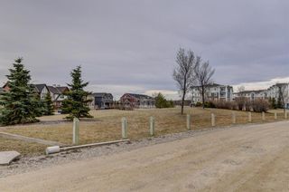Photo 21: 470 Cranford Drive SE in Calgary: Cranston Detached for sale : MLS®# A1090960