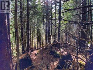Photo 9: LOTS 3, 4, 5 E 9TH AVENUE in Prince Rupert: Vacant Land for sale : MLS®# R2872198