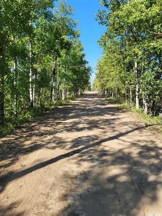 Photo 3: Loon Lake 1,162.4 acres Pastureland in Loon Lake: Farm for sale (Loon Lake Rm No. 561)  : MLS®# SK940726