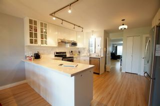 Photo 11: 10490 HOLLYBANK Drive in Richmond: Steveston North House for sale : MLS®# R2723883