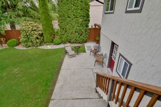Photo 42: 20801 MCFARLANE Avenue in Maple Ridge: Southwest Maple Ridge House for sale : MLS®# R2065058