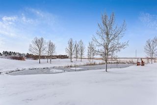 Photo 38: 284031 Twp Rd 223A Road in Rural Rocky View County: Rural Rocky View MD Detached for sale : MLS®# A1085950