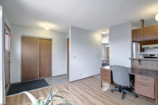 Photo 20: 33 Templeton Bay NE in Calgary: Temple Detached for sale : MLS®# A1199751