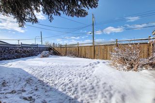 Photo 29: 67 Penmeadows Place SE in Calgary: Penbrooke Meadows Detached for sale : MLS®# A1066670