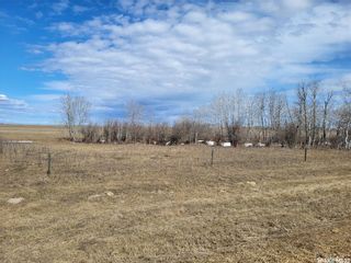 Photo 3: Radisson 158 acres Pastureland (Que) in Great Bend: Farm for sale (Great Bend Rm No. 405)  : MLS®# SK965878